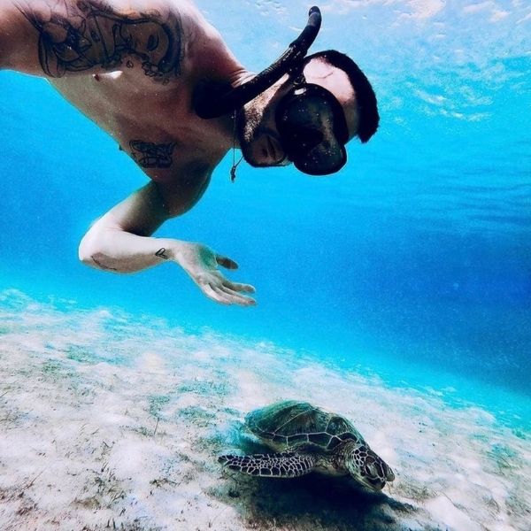 En snorkeling avec un maxlux S bleu profond et une tortue
